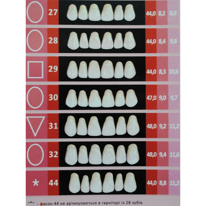 Размеры оттенок. Зубы искусственные пластмассовые Эстедент 02. Зубы пластмассовые 