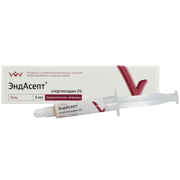 ЭндАсепт гель для лечения инфицированных каналов 5мл ВладМиВа