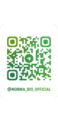 Подписывайтесь на наш Telegram канал