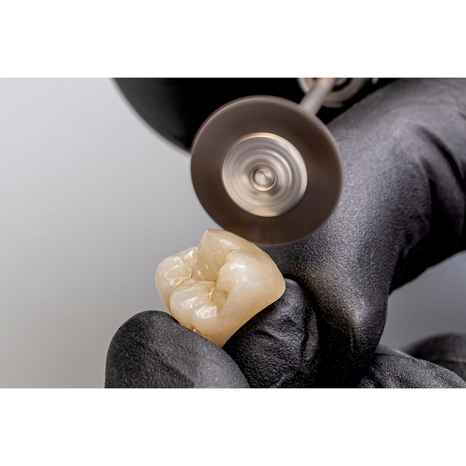 Щетка полировочная Bison Renfert