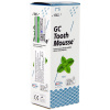 Тус Мус (Tooth Mousse) мята реминерализирующий гель 40г GC